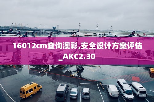 16012cm查詢澳彩,安全設(shè)計方案評估_AKC2.30