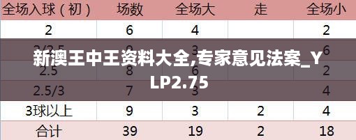 新澳王中王資料大全,專家意見法案_YLP2.75