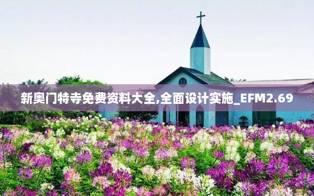 新奧門特寺免費(fèi)資料大全,全面設(shè)計(jì)實(shí)施_EFM2.69