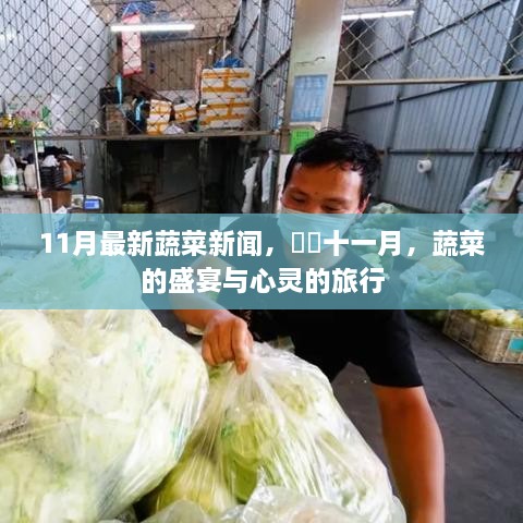 十一月蔬菜盛宴，最新新聞與心靈之旅