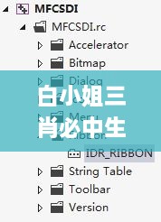 白小姐三肖必中生肖開獎號碼,執(zhí)行驗證計劃_FUM2.85