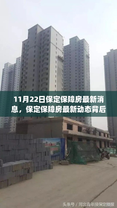 保定保障房最新動態(tài)與小巷深處的獨特小店探秘，11月22日最新消息