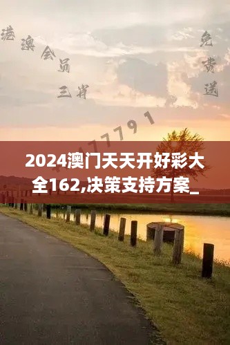 2024澳門天天開好彩大全162,決策支持方案_WHM2.83