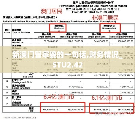 新澳門(mén)管家婆的一句話,財(cái)務(wù)情況_STU2.42