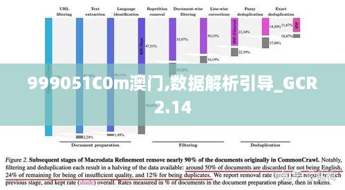 999051C0m澳門,數(shù)據解析引導_GCR2.14