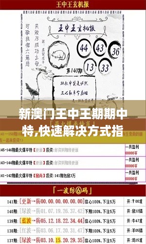 新澳門王中王期期中特,快速解決方式指南_BAW2.24