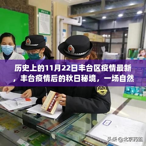 豐臺(tái)疫情后的秋日秘境探索，自然美景治愈之旅（最新疫情報(bào)告）