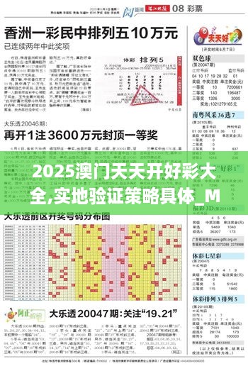 2025澳門天天開好彩大全,實(shí)地驗(yàn)證策略具體_MUW2.68
