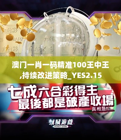 澳門(mén)一肖一碼精準(zhǔn)100王中王,持續(xù)改進(jìn)策略_YES2.15