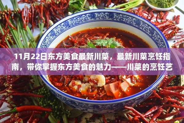 最新川菜烹飪指南，掌握東方美食川菜之魅力