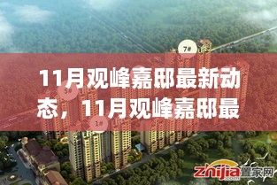 11月觀峰嘉邸最新動態(tài)全解析，特性、體驗、競品對比及用戶群體深度分析