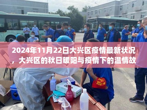 大興區(qū)疫情最新狀況與秋日溫情故事，疫情下的暖陽與溫情故事