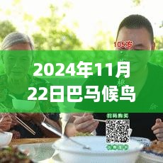 最新動(dòng)態(tài)分析，2024年11月22日巴馬候鳥人現(xiàn)狀與某某觀點(diǎn)探討