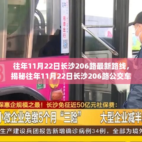 揭秘長(zhǎng)沙公交206路歷年路線變遷，深度解析三大要點(diǎn)與最新路線解析（往年11月22日）
