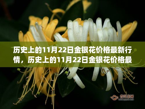 嗅APP 第667頁(yè)