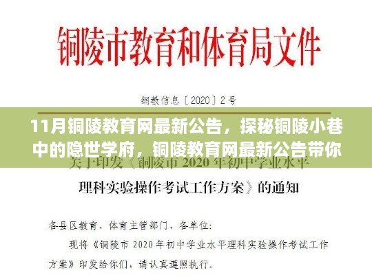 探秘銅陵小巷隱世學(xué)府，教育網(wǎng)最新公告揭示獨(dú)特教育小店風(fēng)采