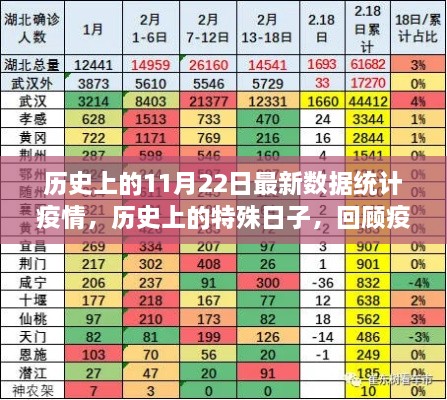 回顧疫情之下的特殊日子，歷史上的11月22日數(shù)據(jù)統(tǒng)計(jì)與回顧