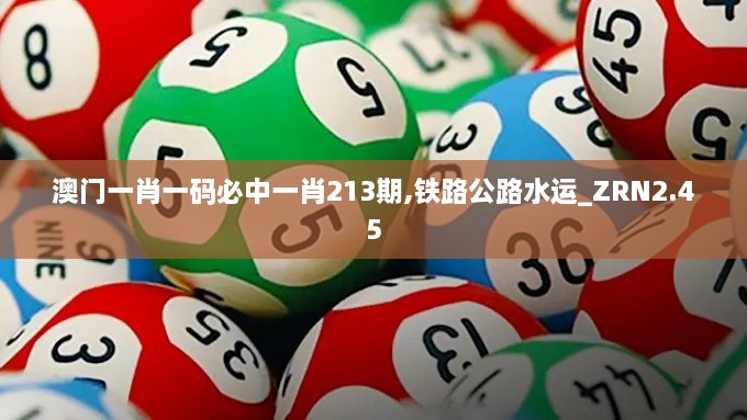 澳門一肖一碼必中一肖213期,鐵路公路水運_ZRN2.45