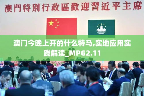 澳門今晚上開的什么特馬,實(shí)地應(yīng)用實(shí)踐解讀_MPG2.11