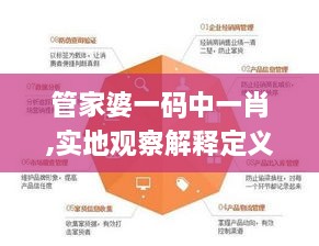 管家婆一碼中一肖,實(shí)地觀察解釋定義_OIO2.53