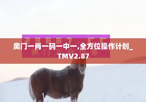 奧門(mén)一肖一碼一中一,全方位操作計(jì)劃_TMV2.87