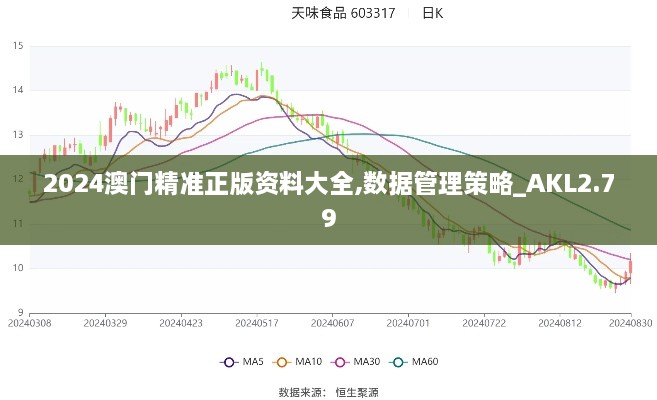 2024澳門精準正版資料大全,數(shù)據(jù)管理策略_AKL2.79