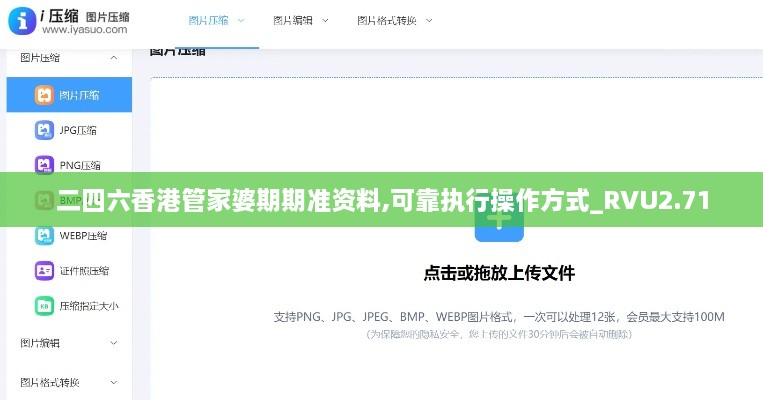 二四六香港管家婆期期準(zhǔn)資料,可靠執(zhí)行操作方式_RVU2.71
