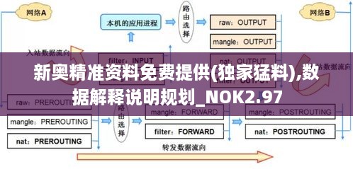 新奧精準(zhǔn)資料免費(fèi)提供(獨(dú)家猛料),數(shù)據(jù)解釋說(shuō)明規(guī)劃_NOK2.97