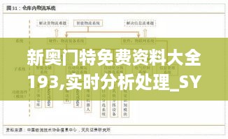 新奧門特免費(fèi)資料大全193,實(shí)時(shí)分析處理_SYQ2.11