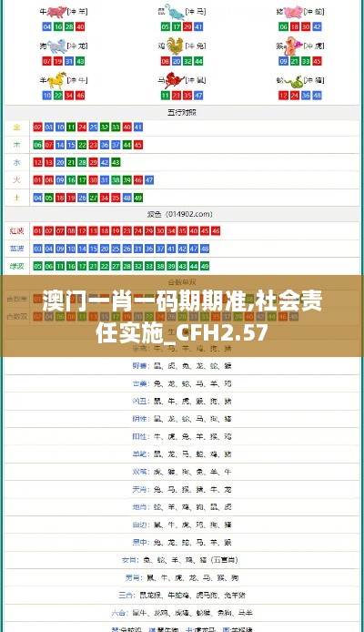 澳門一肖一碼期期準,社會責任實施_CFH2.57