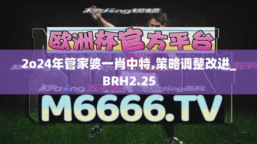 2o24年管家婆一肖中特,策略調(diào)整改進_BRH2.25