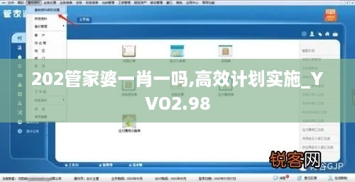 202管家婆一肖一嗎,高效計劃實施_YVO2.98