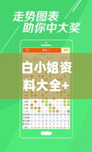 白小姐資料大全+正版資料白小姐奇緣四肖,靈活性執(zhí)行方案_OJV2.77
