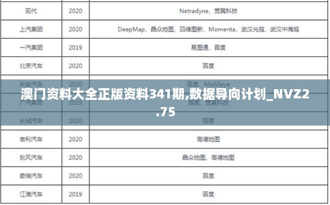 澳門資料大全正版資料341期,數(shù)據(jù)導(dǎo)向計劃_NVZ2.75