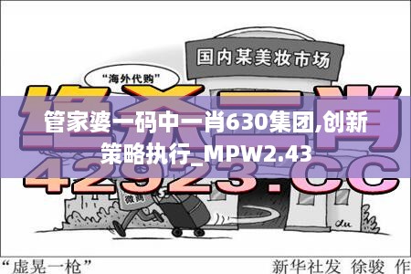 管家婆一碼中一肖630集團,創(chuàng)新策略執(zhí)行_MPW2.43