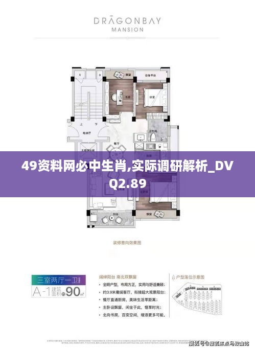 49資料網(wǎng)必中生肖,實際調(diào)研解析_DVQ2.89