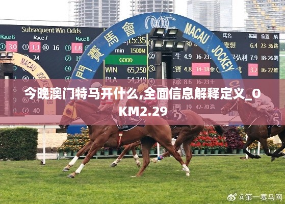 今晚澳門(mén)特馬開(kāi)什么,全面信息解釋定義_OKM2.29