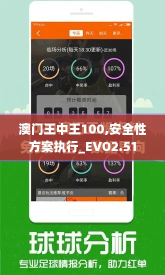 澳門王中王100,安全性方案執(zhí)行_EVO2.51