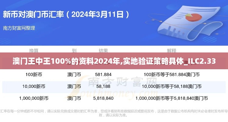 澳門王中王100%的資料2024年,實地驗證策略具體_ILC2.33