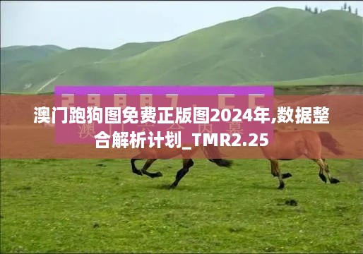 澳門跑狗圖免費正版圖2024年,數(shù)據(jù)整合解析計劃_TMR2.25