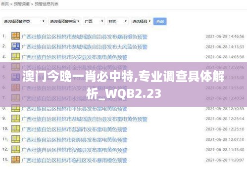 澳門今晚一肖必中特,專業(yè)調(diào)查具體解析_WQB2.23