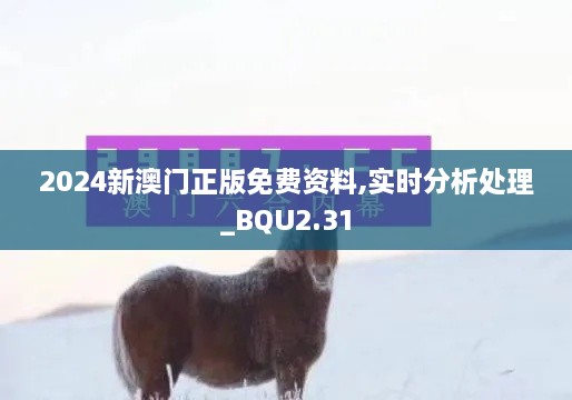 2024年11月 第557頁