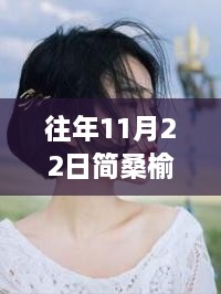 揭秘歷年11月22日簡桑榆顧沉最新動態(tài)，深度解析二人世界的最新重磅更新！