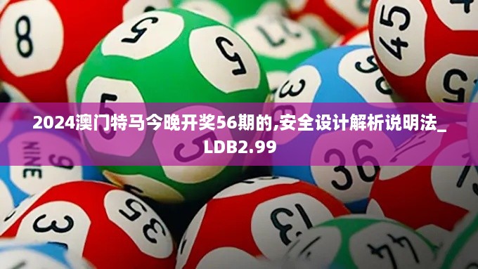 2024澳門特馬今晚開獎56期的,安全設計解析說明法_LDB2.99