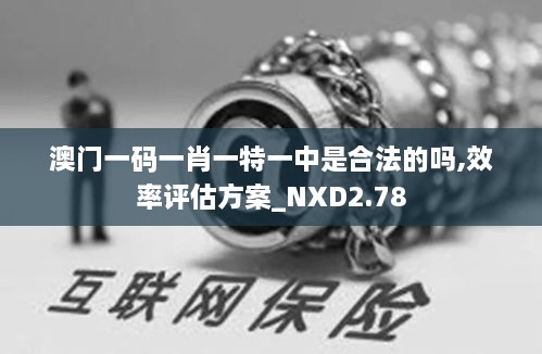 澳門一碼一肖一特一中是合法的嗎,效率評(píng)估方案_NXD2.78