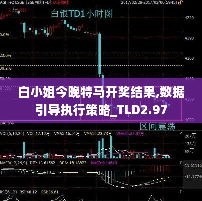 白小姐今晚特馬開獎(jiǎng)結(jié)果,數(shù)據(jù)引導(dǎo)執(zhí)行策略_TLD2.97