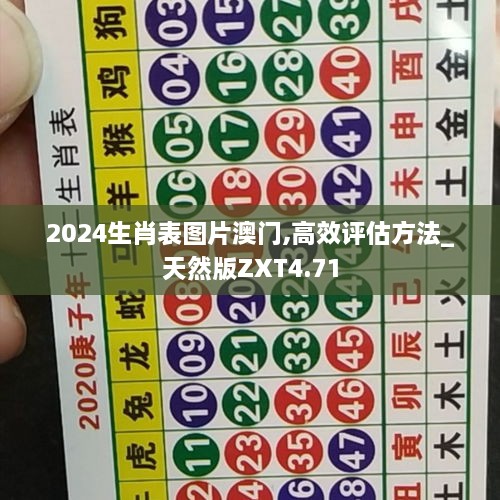 2024生肖表圖片澳門,高效評(píng)估方法_天然版ZXT4.71