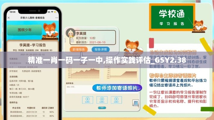 精準(zhǔn)一肖一碼一子一中,操作實(shí)踐評(píng)估_GSY2.38