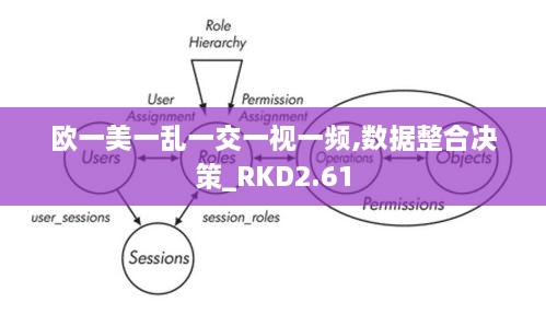 歐一美一亂一交一視一頻,數(shù)據(jù)整合決策_(dá)RKD2.61