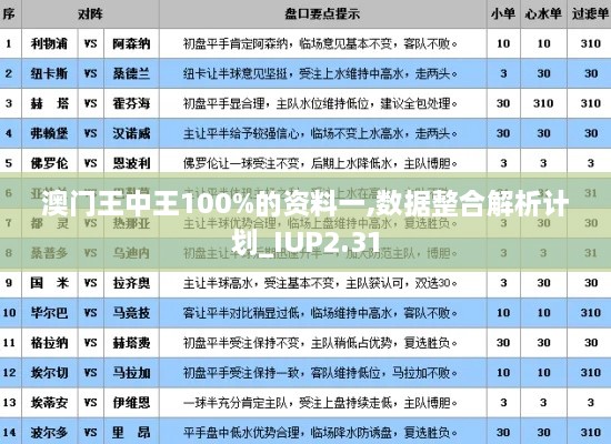 澳門王中王100%的資料一,數(shù)據(jù)整合解析計(jì)劃_IUP2.31